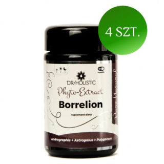 DR Holistic ZESTAW: 4 x Borrelion Phyto Extract - 60 kaps.