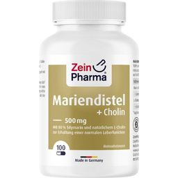 Zein Pharma - Milk Thistle + Choline, Liver Complex - 100 caps