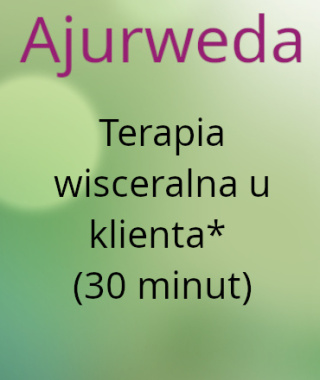 Terapia wisceralna u klienta* (30 minut)