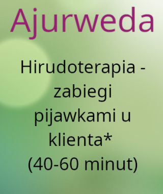 Hirudoterapia - zabiegi pijawkami u klienta* (40-60 minut)