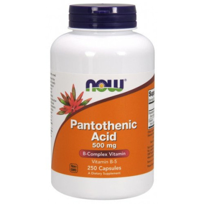 NOW Foods - Pantothenic Acid - 500mg - 250 caps